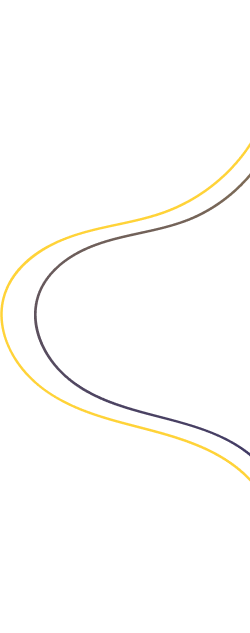 vector