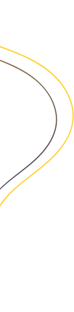 vector