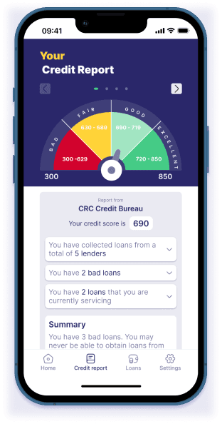 PebbleScore mobile app interface showing credit score dashboard